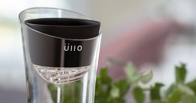 Sulfites 101 – Everything You Need to Know